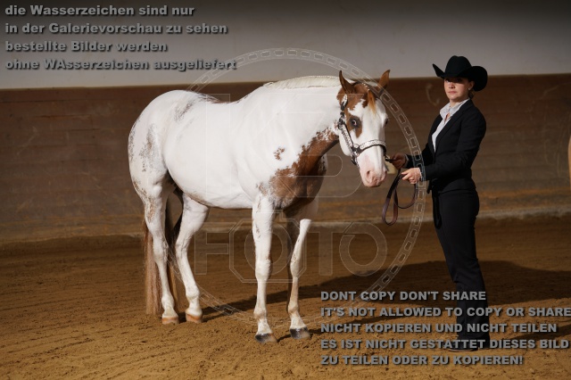 s_DSC00885.JPG